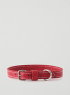 Small Dog Collar Cervino