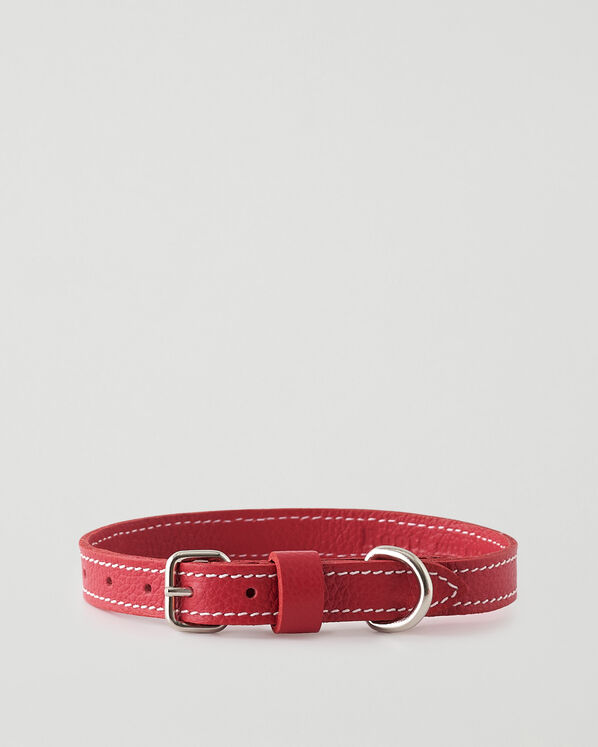 Small Dog Collar Cervino