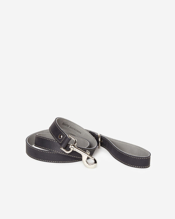 Laisse pour chien