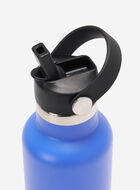 Roots Water Bottle