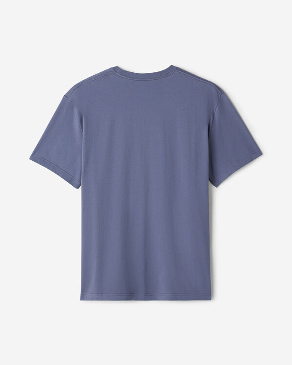 Mens Roots Lakeview T-Shirt