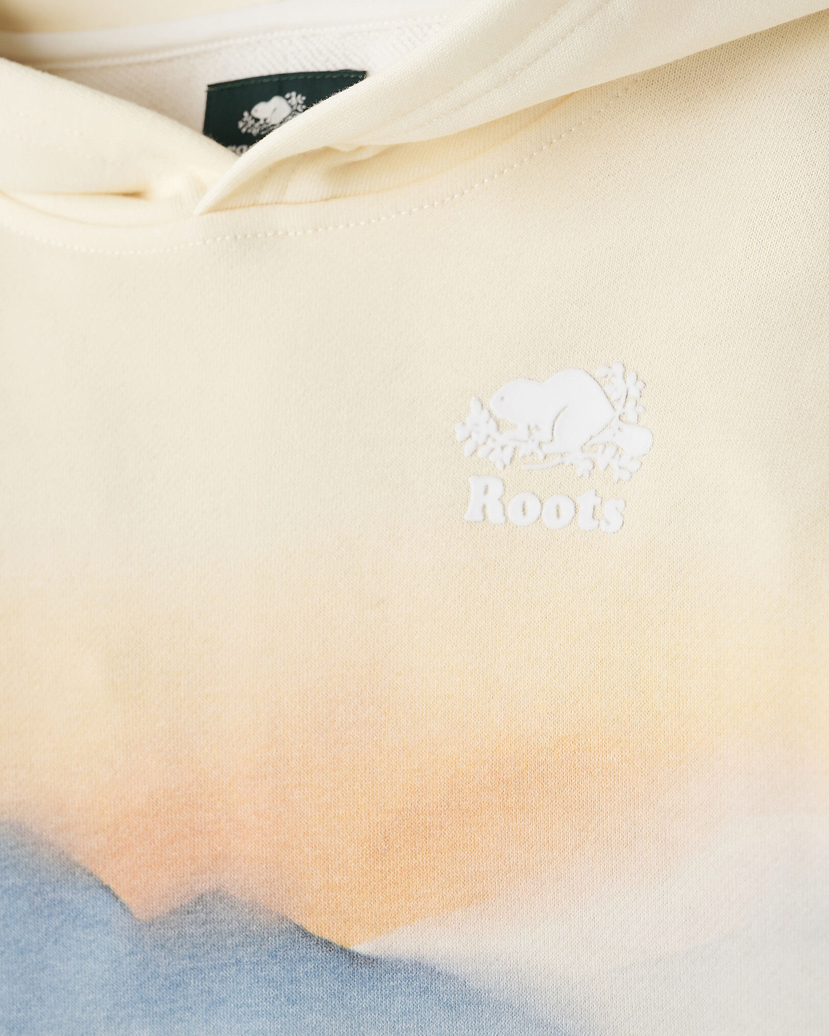 Kids Landscape Hoodie