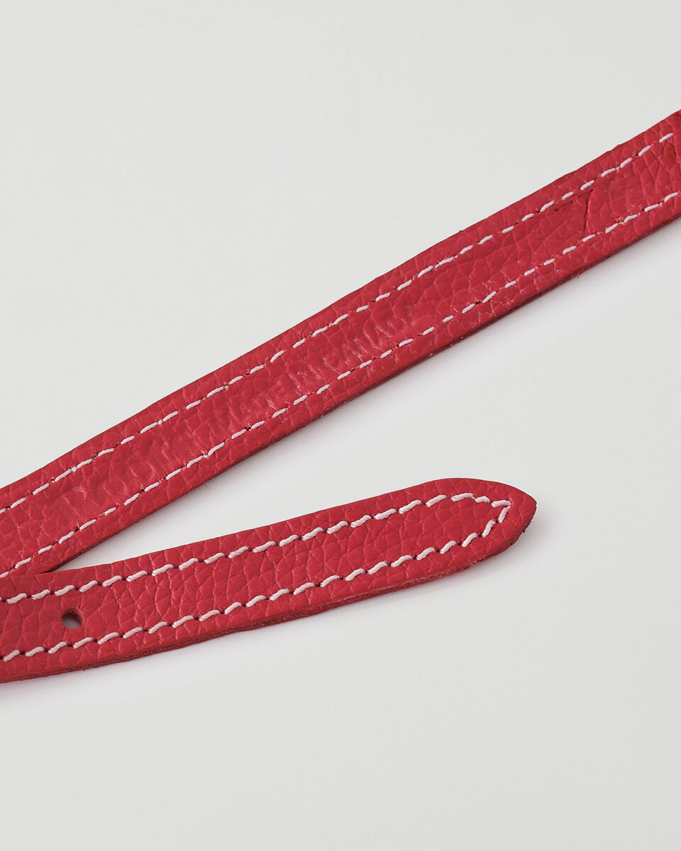 X-Small Dog Collar Cervino