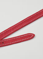 X-Small Dog Collar Cervino