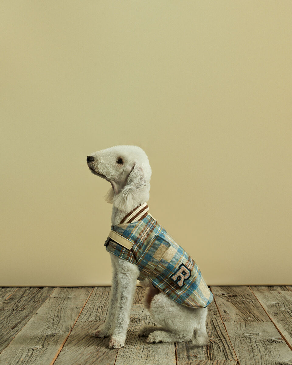 S Moon Plaid Dog Jacket Leather Accessories Roots