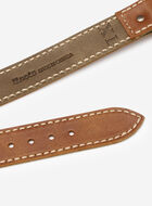 Extra Large Leather Dog Collar