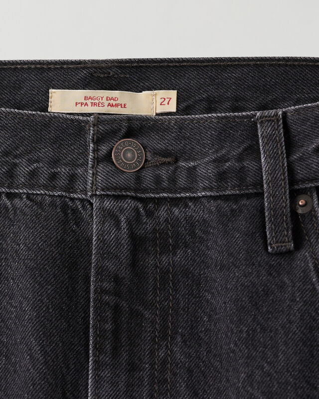 Levi’s Baggy Dad | Roots US