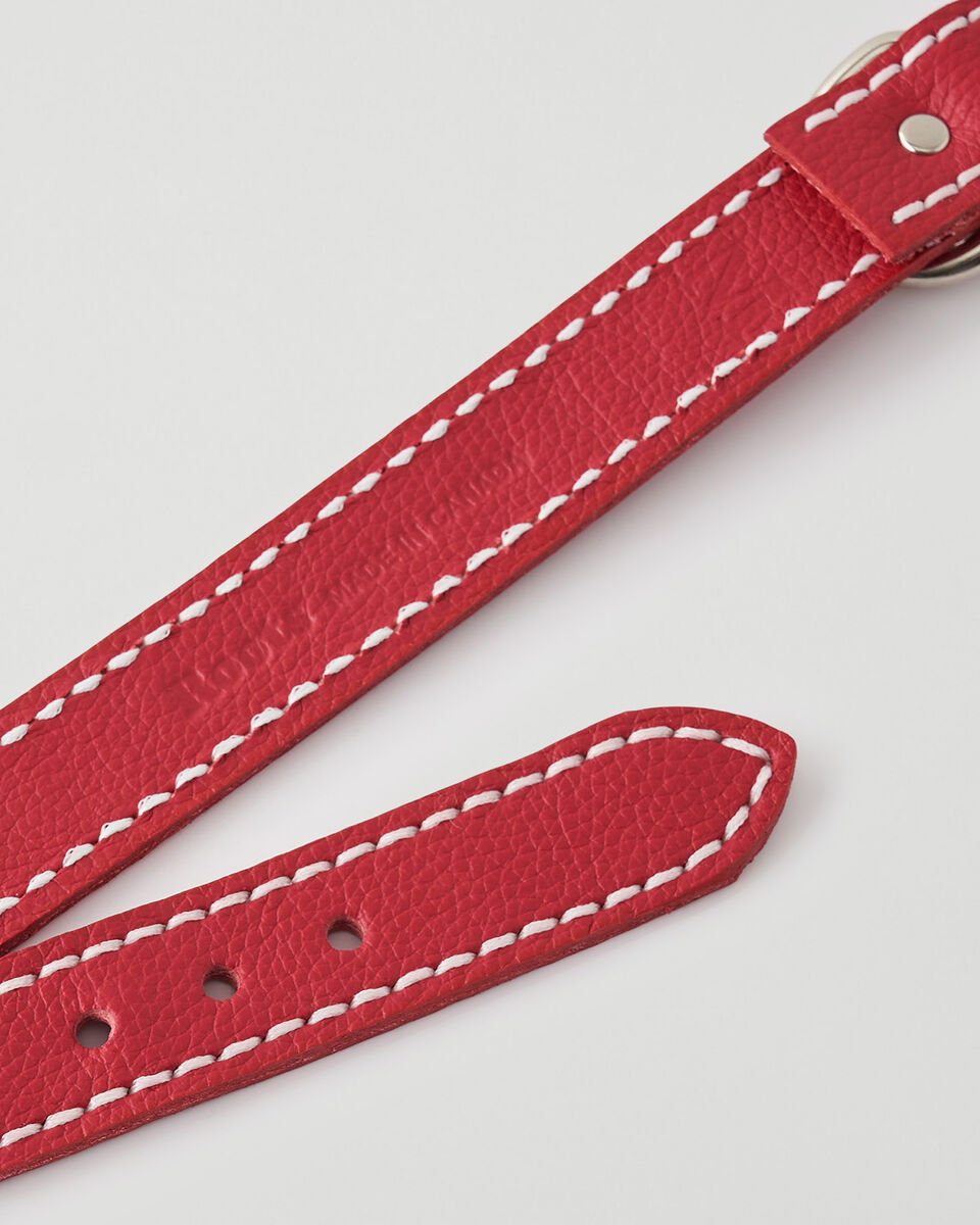 Medium Dog Collar Cervino