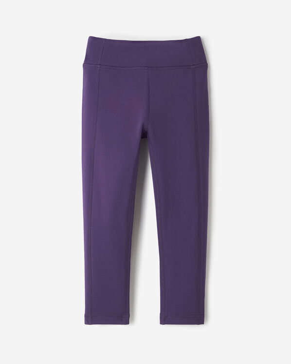 Toddler Girls Active Warm Legging
