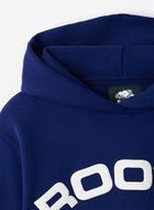 Alpine Goods Hoodie