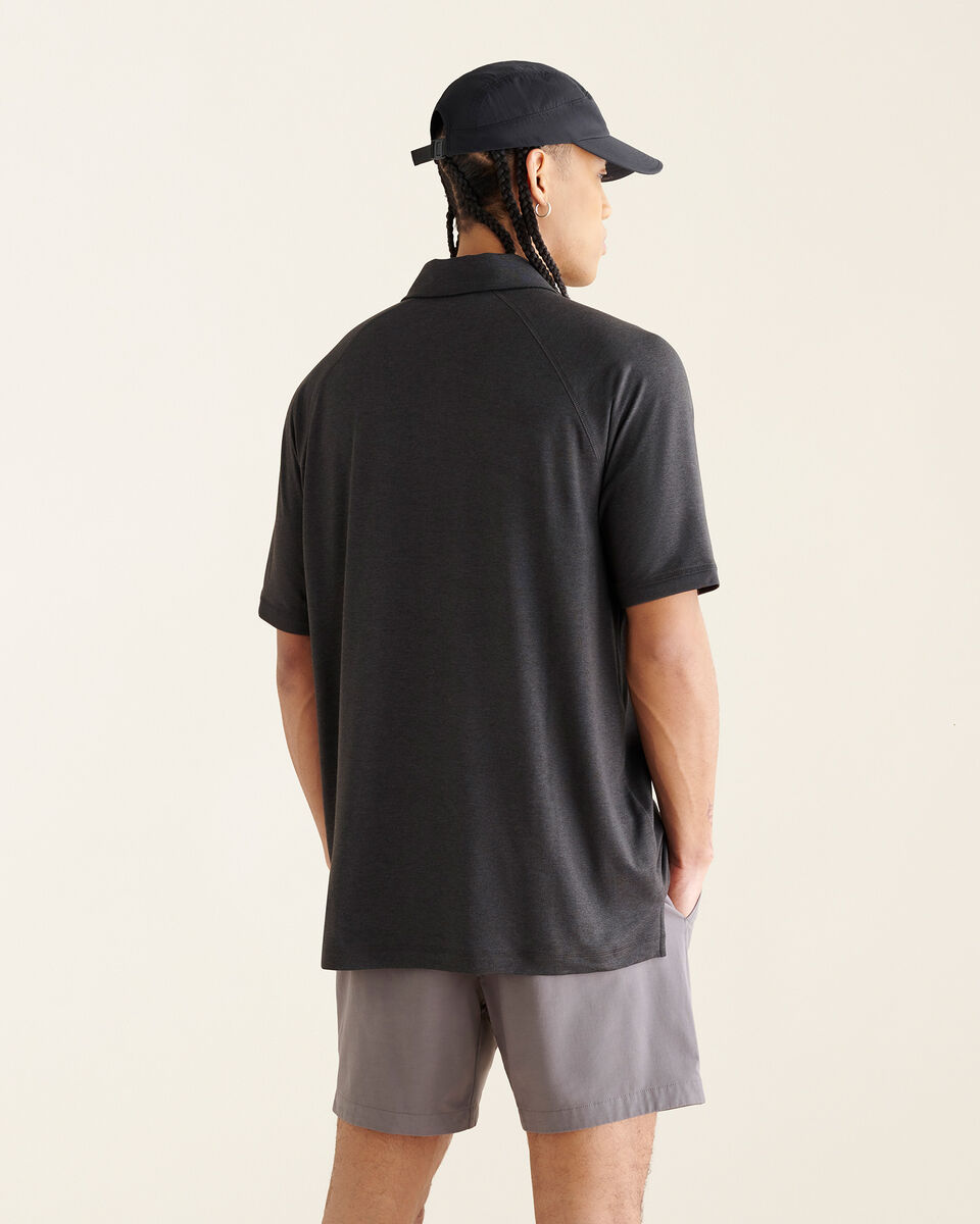 Polo Renew