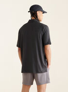 Polo Renew