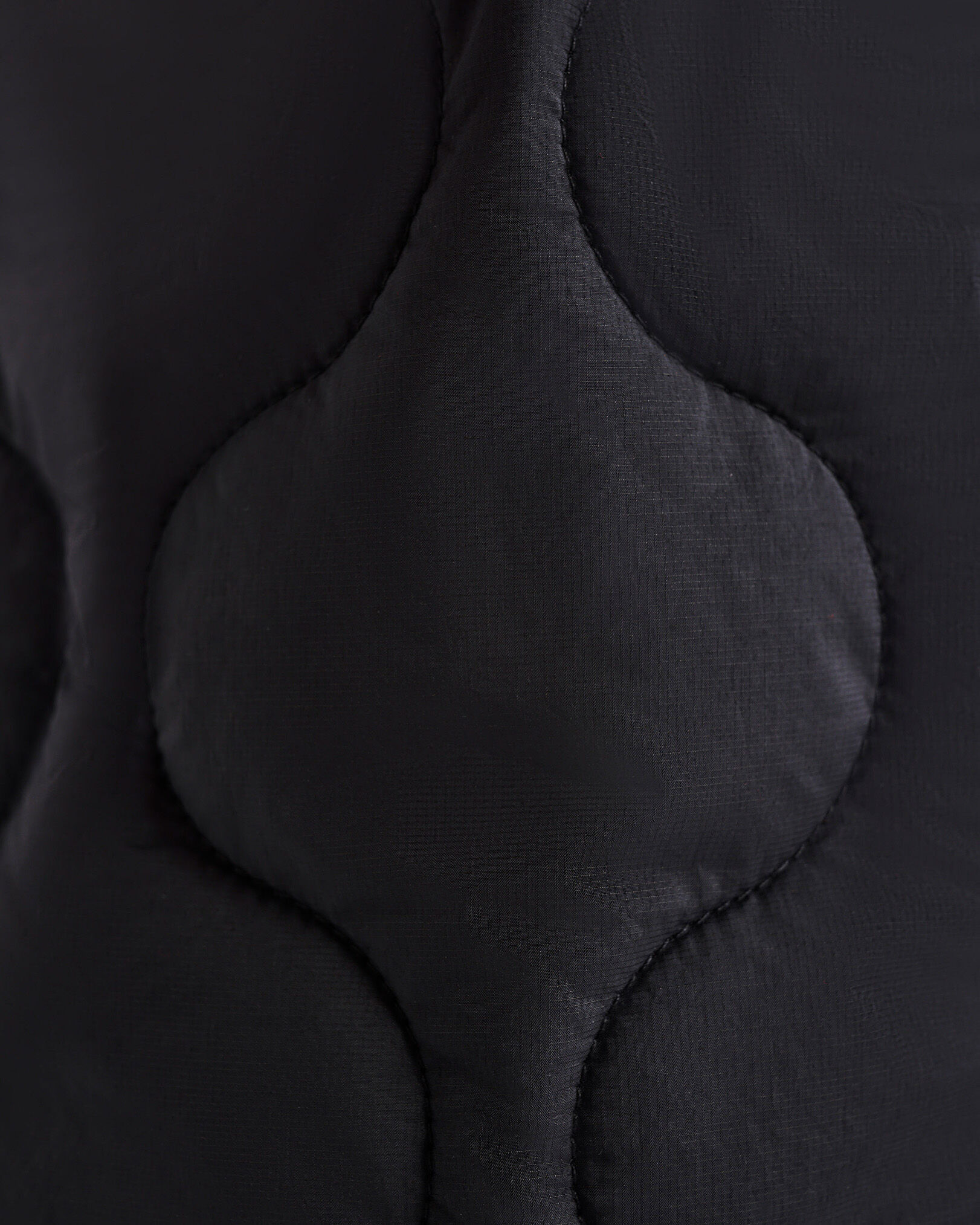 Quilted Track Pant | Bottoms, Pants | Roots
