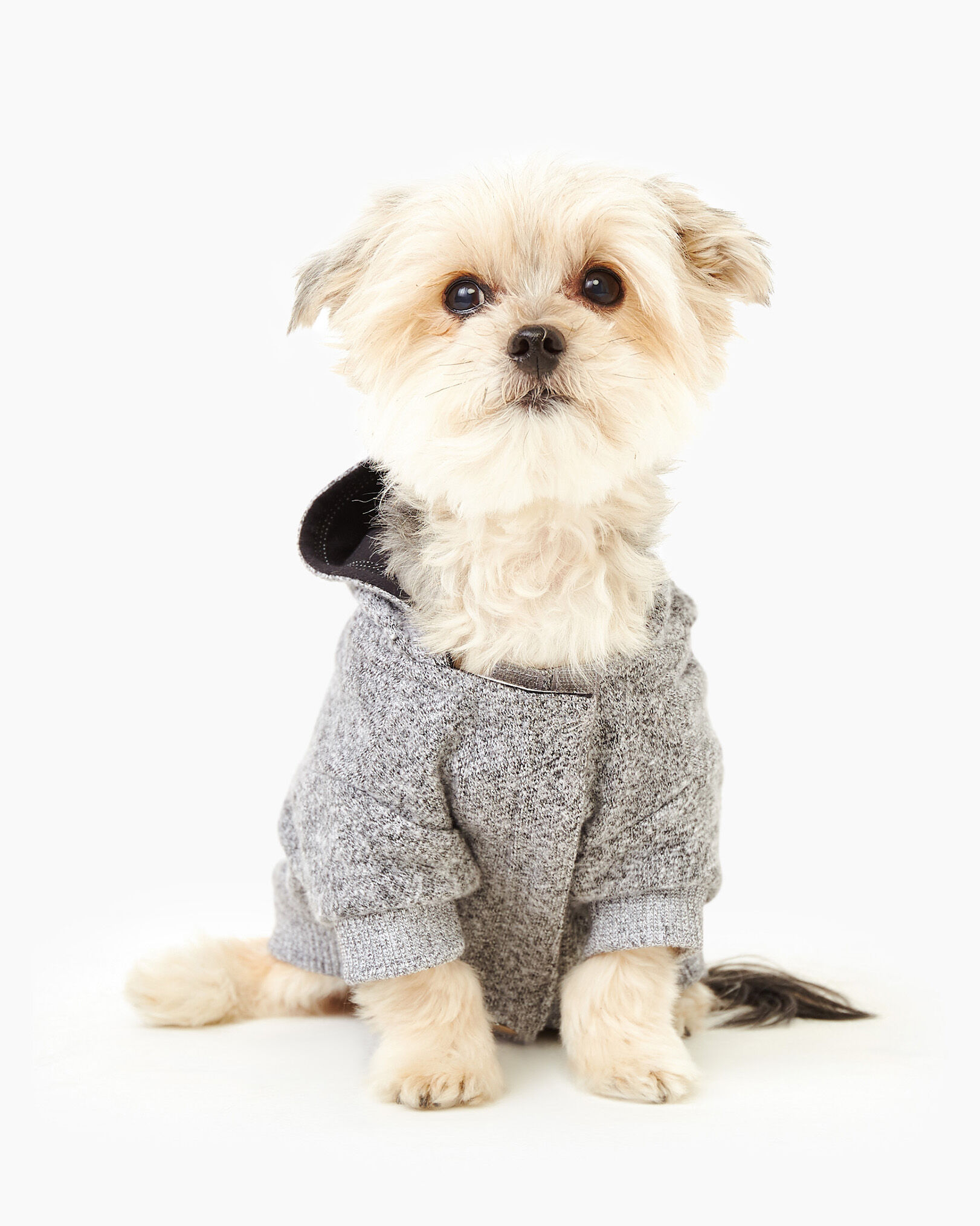 Roots canada dog sweater discount