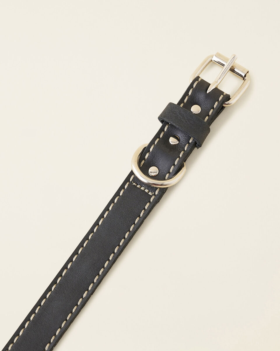 Medium Leather Dog Collar, Leather Accessories