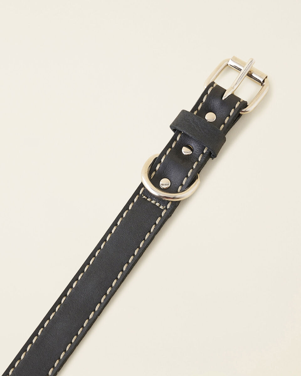 Medium Leather Dog Collar