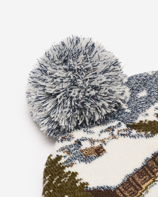 Landscape Intarsia Toque