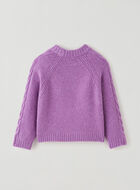 Toddler Girls Sweater Top