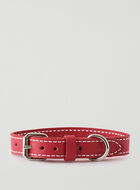 Medium Dog Collar Cervino