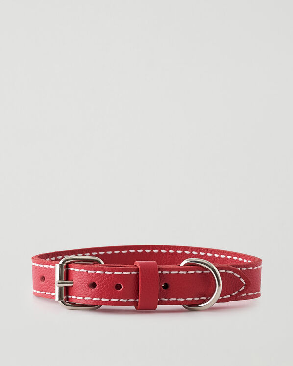 Medium Dog Collar Cervino