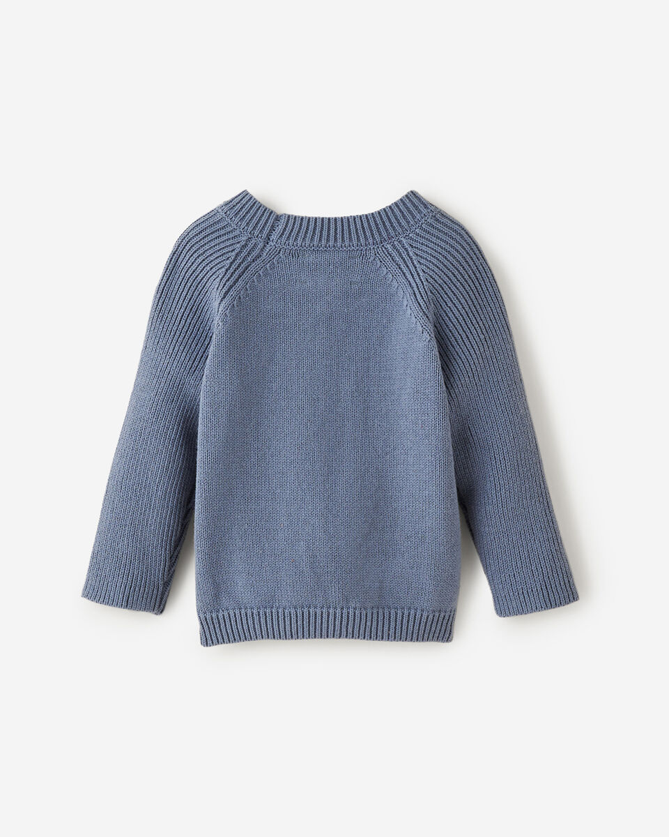 Baby Sweater Knit Crew