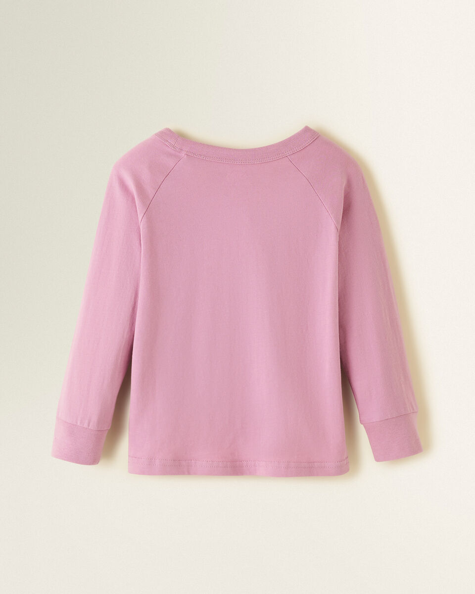 Toddler Mineral Raglan T-Shirt