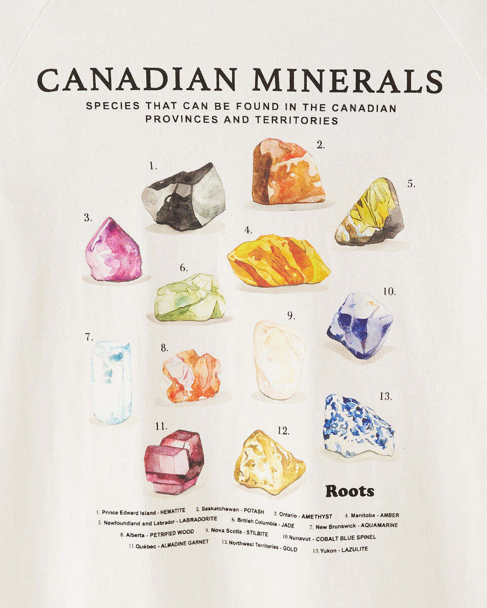 Kids Mineral Raglan T-Shirt