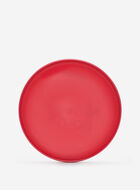 Roots Flying Disc