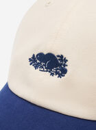 Casquette Cooper le Castor 