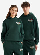 Chandail à capuchon Roots X Wicked OZ