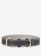 Grand collier en cuir pour chien