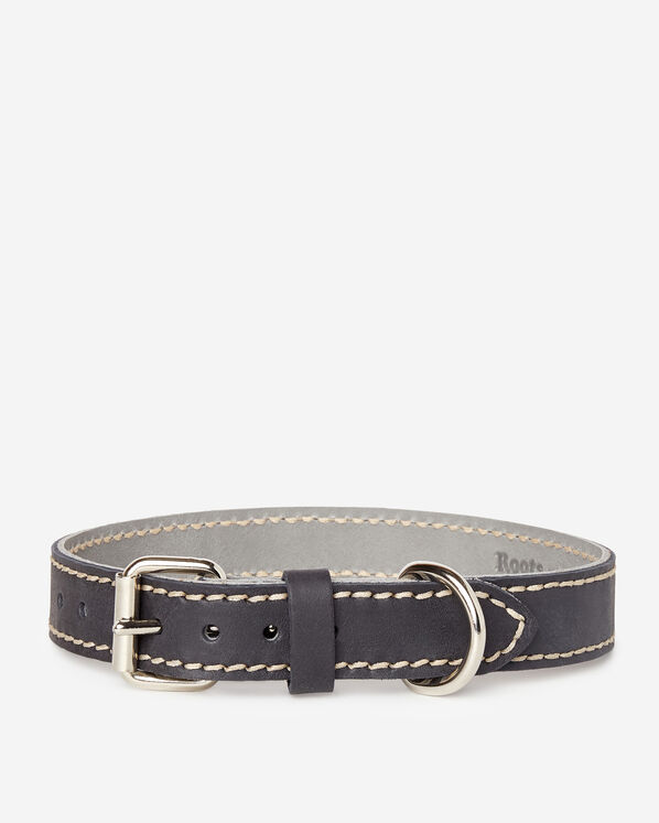 Grand collier en cuir pour chien