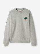 Canada Dry® X Roots Crew