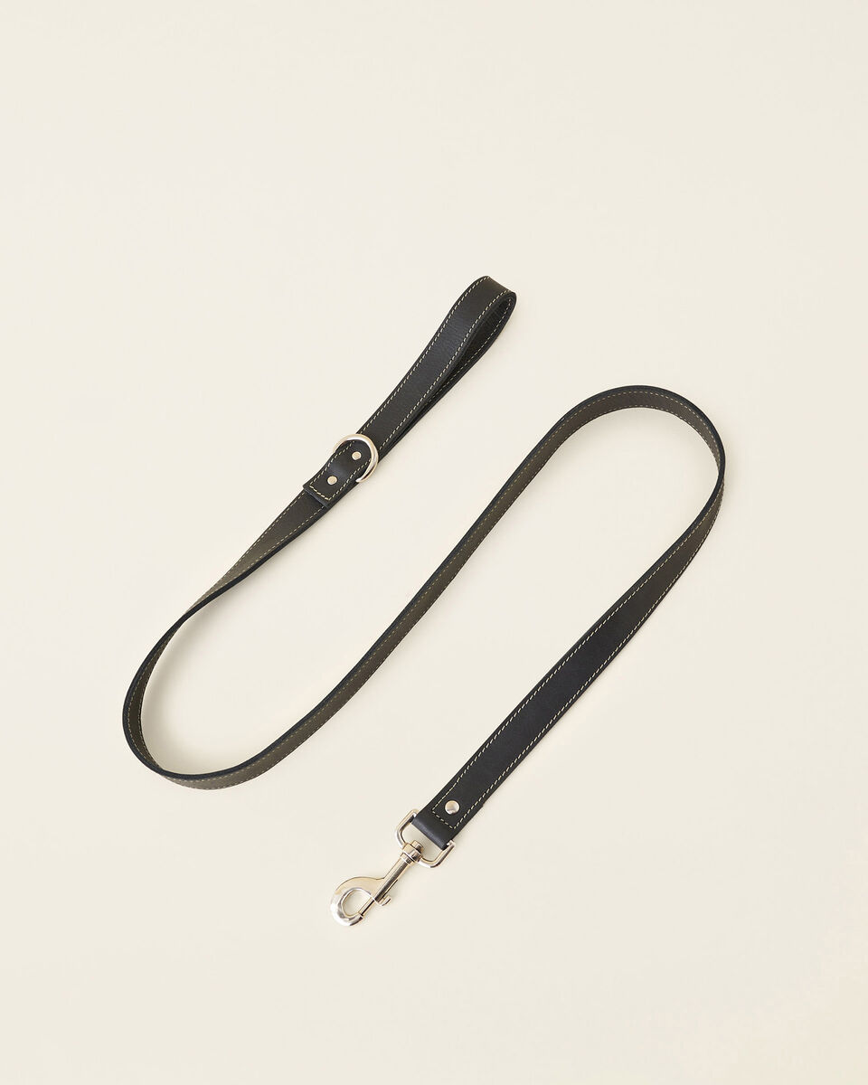 Leather Dog Leash