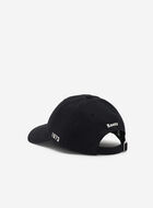 Everyday Cooper Beaver Cap