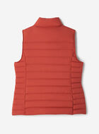 Roots Down Packable Vest