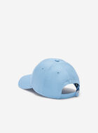 Roots Baseball Cap
