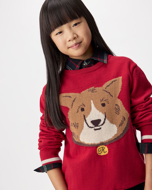 Kids Cabin Dog Sweater