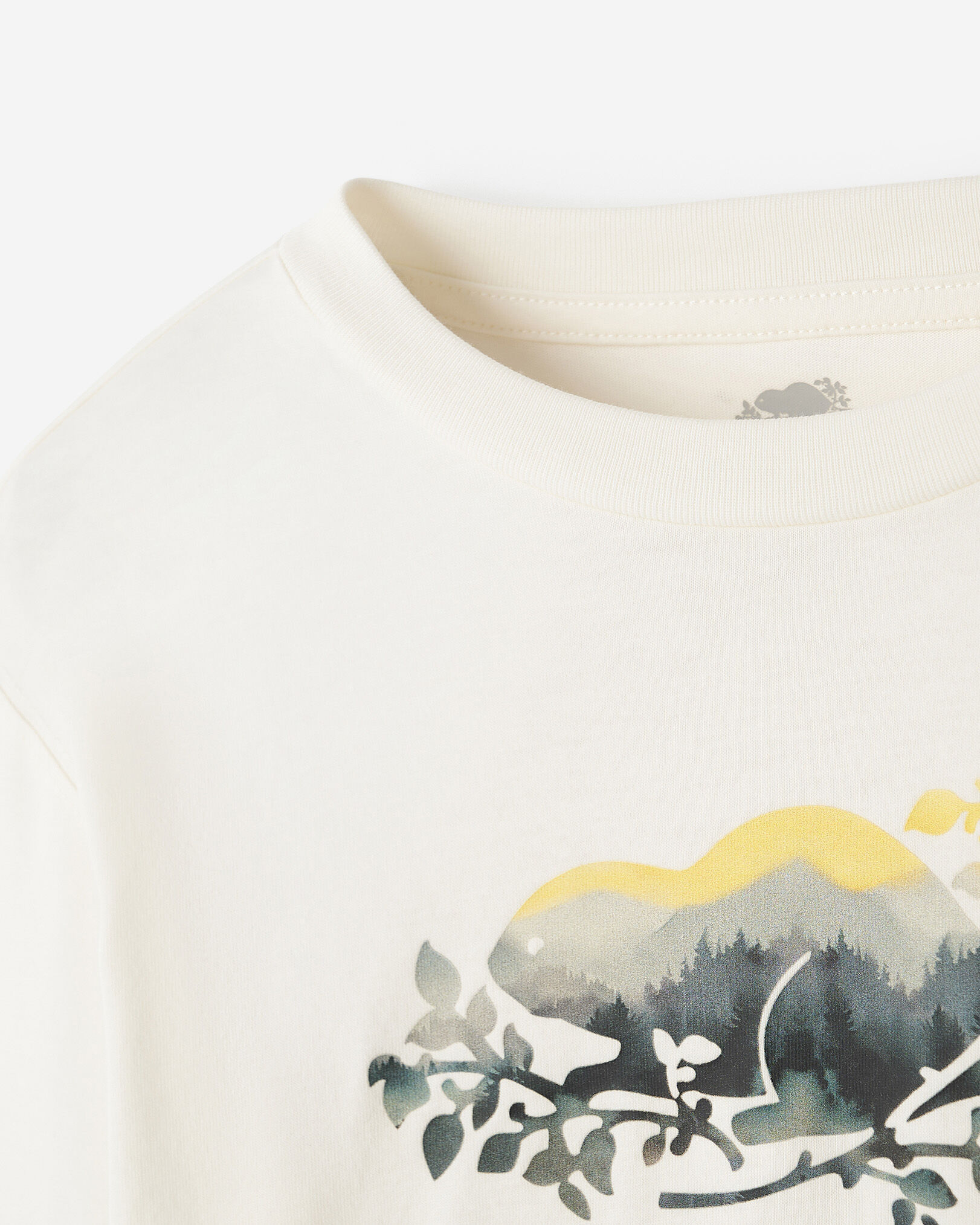Toddler Organic Cooper Watercolour T-Shirt
