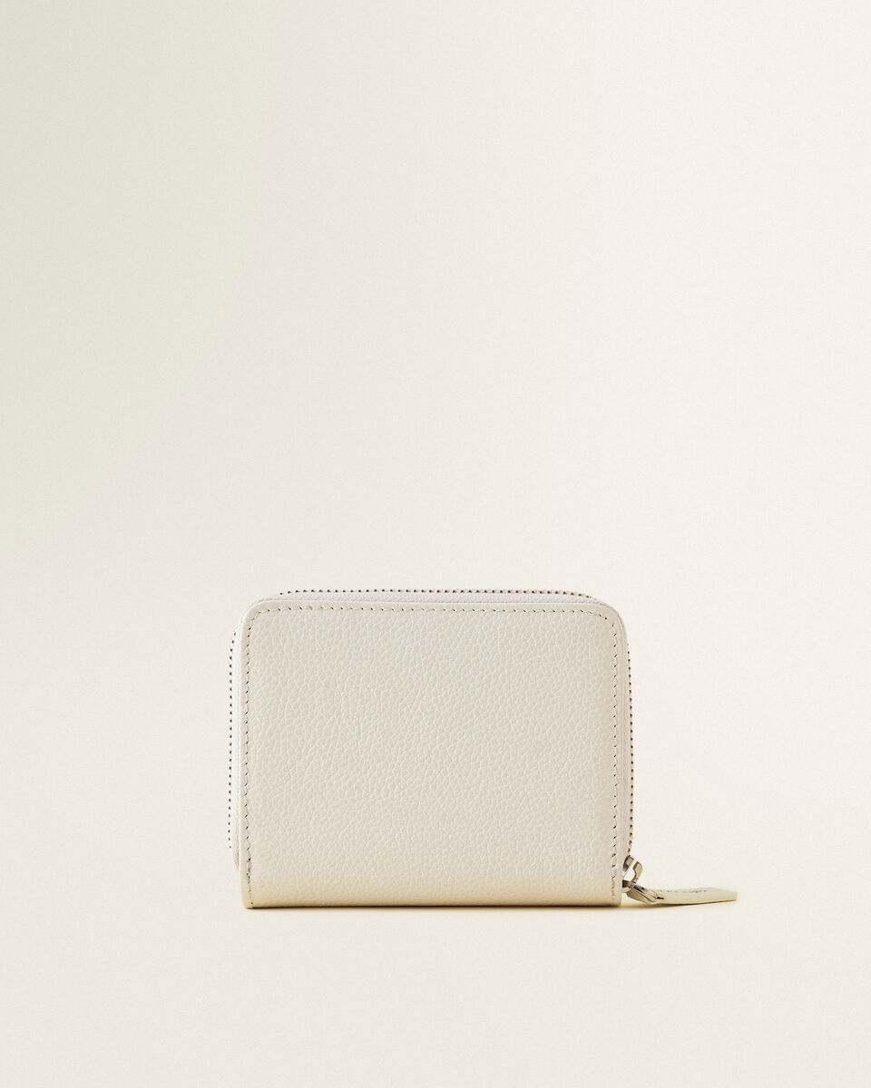 Small Zip Around Clutch Cervino