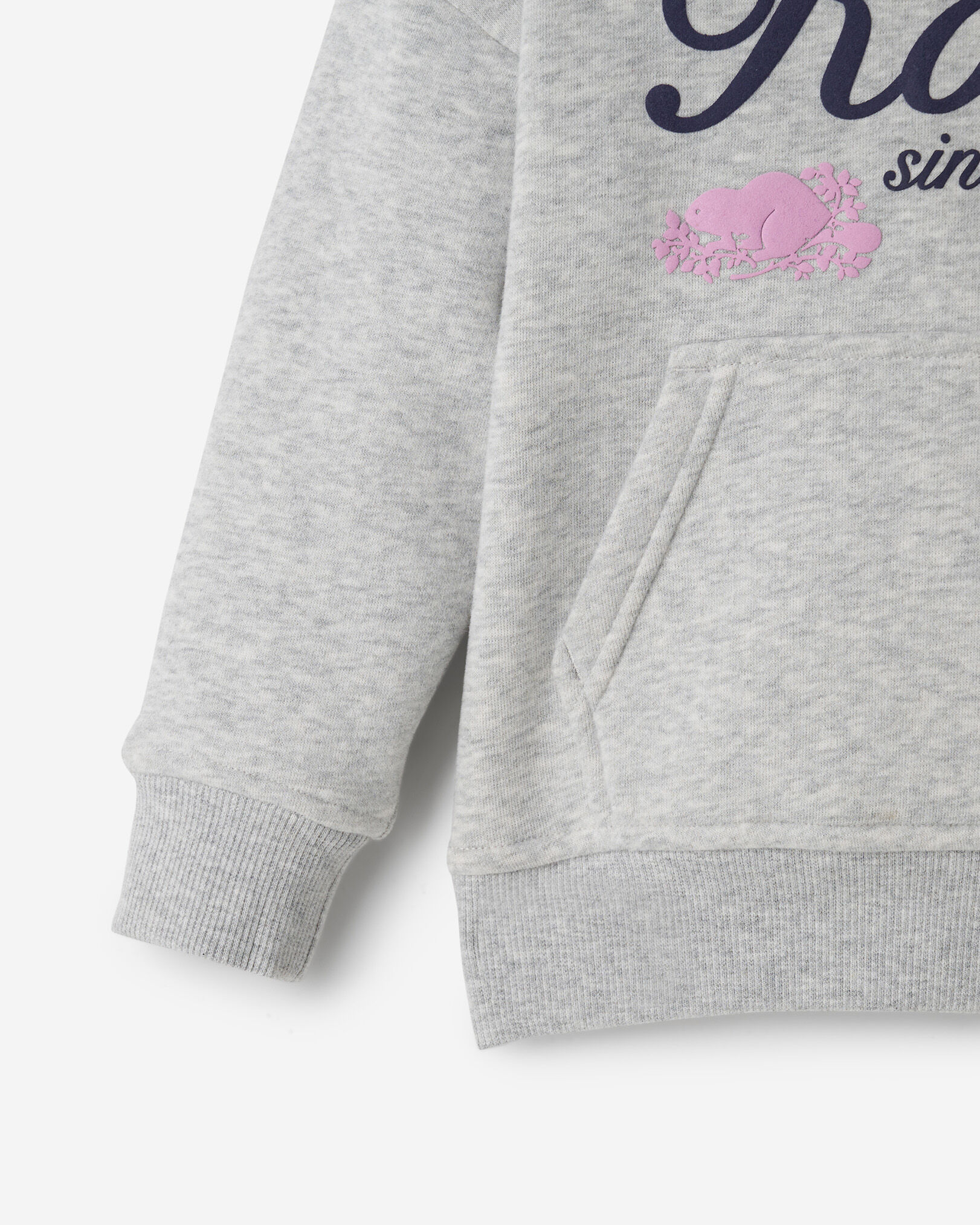 Toddler Roots Signature Hoodie