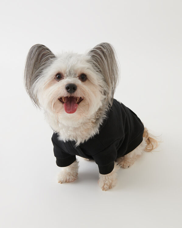 Veste kangourou originale Pooch