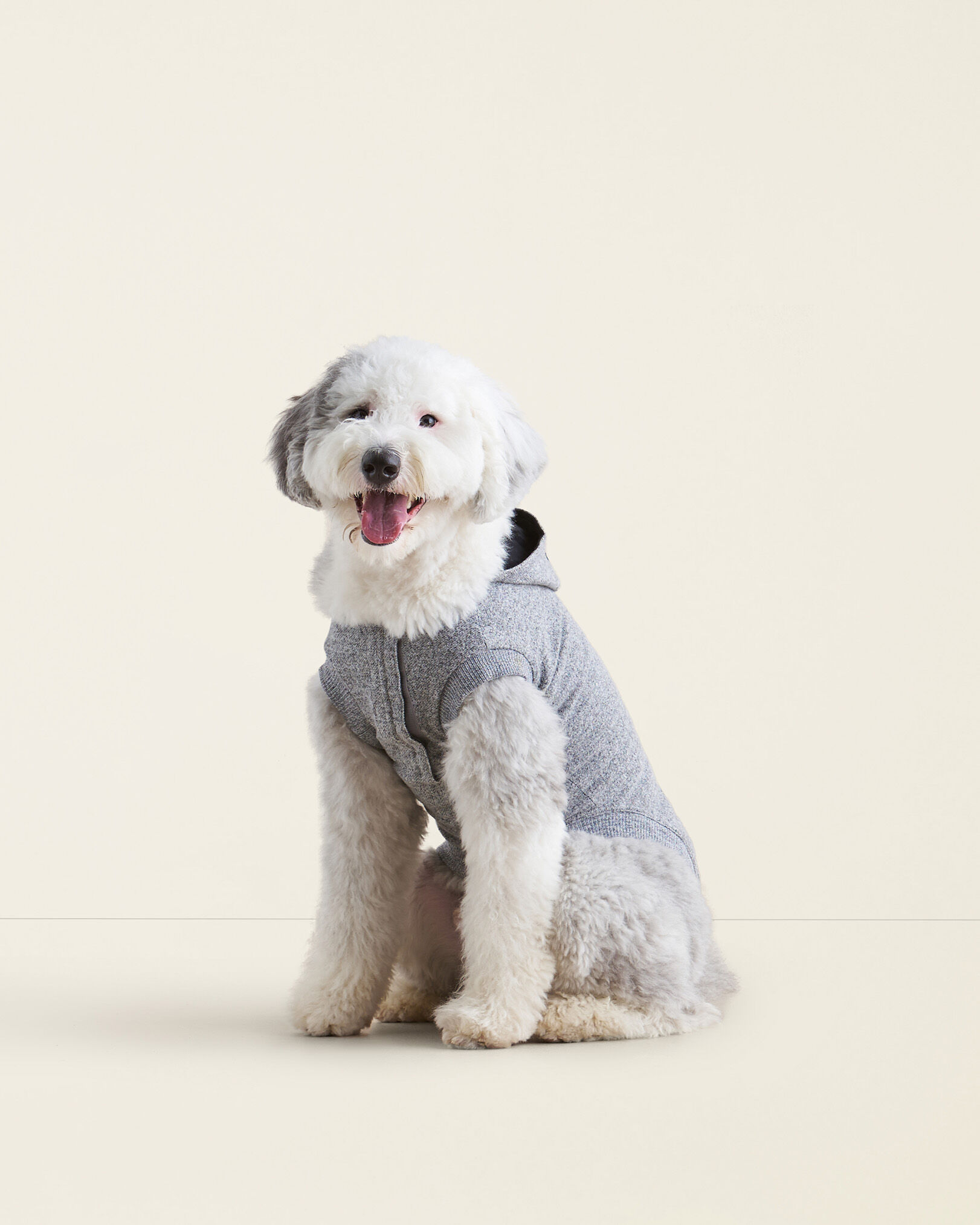 Roots canada dog sweater hotsell