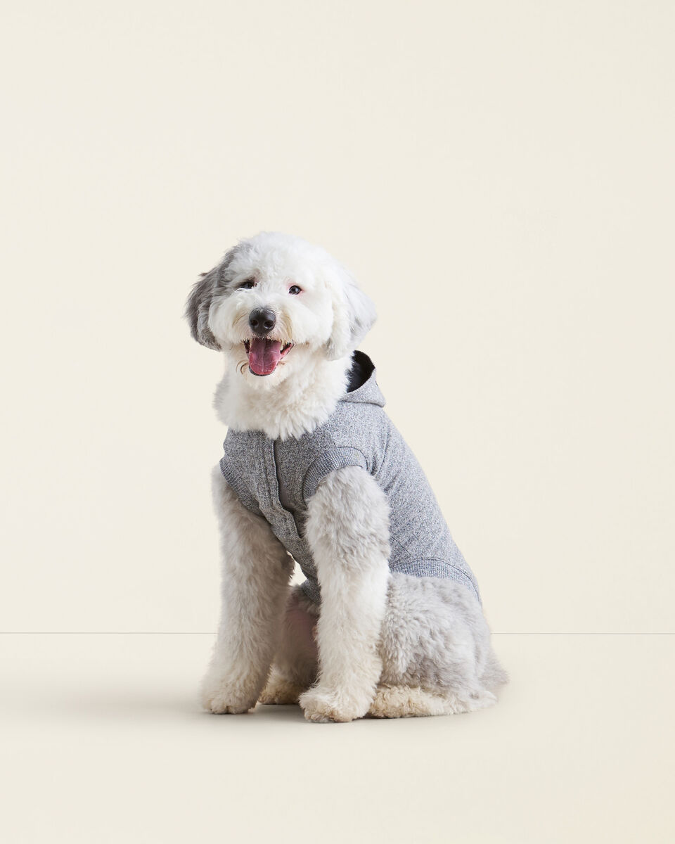Pooch Original Kanga Size 24