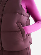 Roots Down Puffer Vest