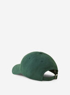 Roots Baseball Cap