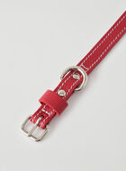 X-Small Dog Collar Cervino
