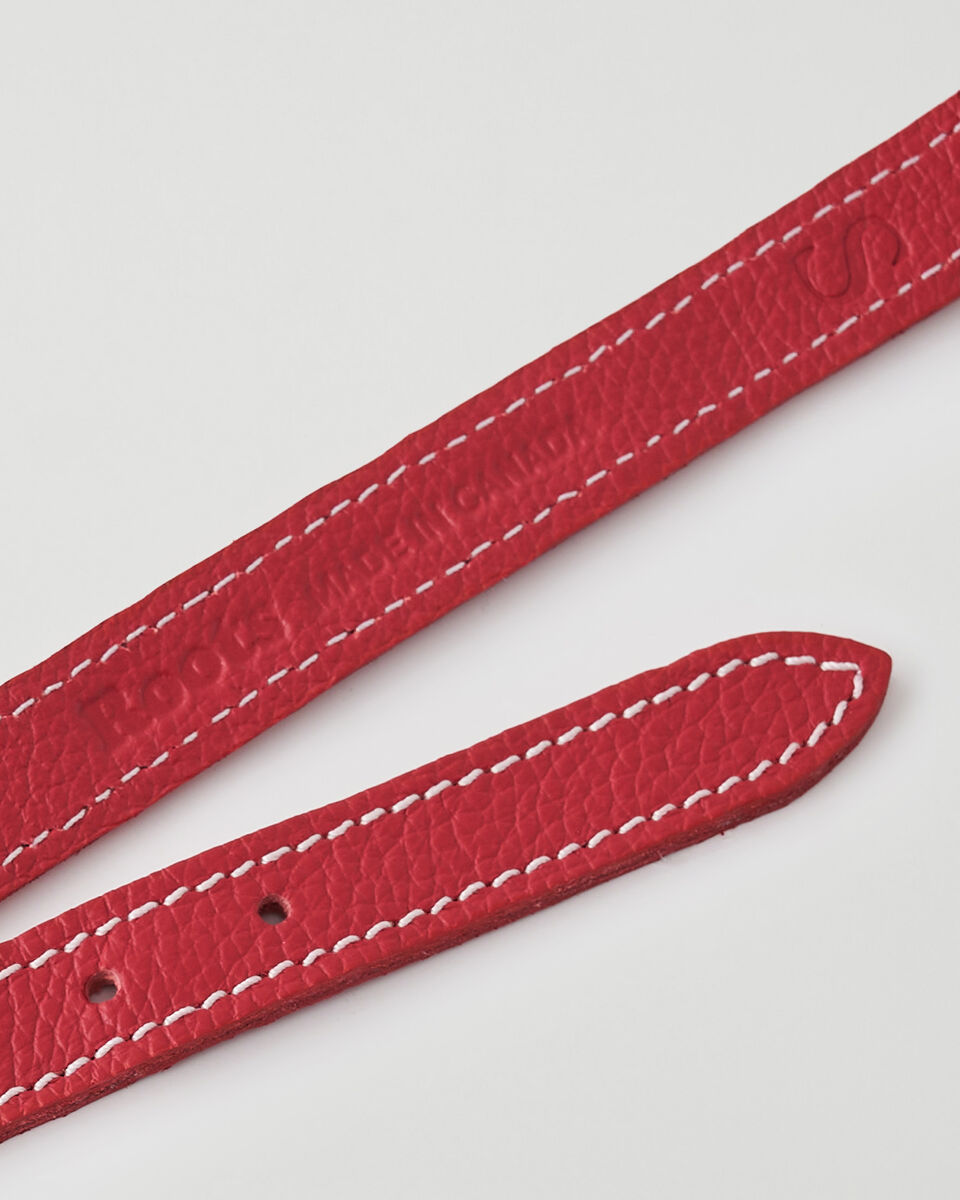 Small Dog Collar Cervino
