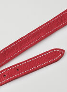Small Dog Collar Cervino