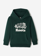 Toddler Cooper Fair Isle Hoodie